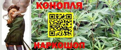 крисы Ярославль