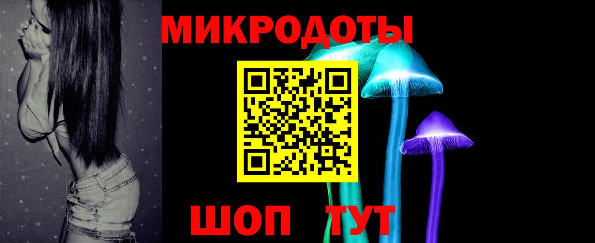 Псилоцибиновые грибы Psilocybe Москва